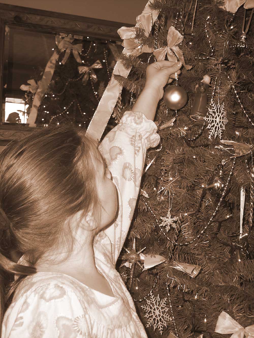 Photography by mindy3051 for DesignCrowd (Community Contests) | Design #8957098