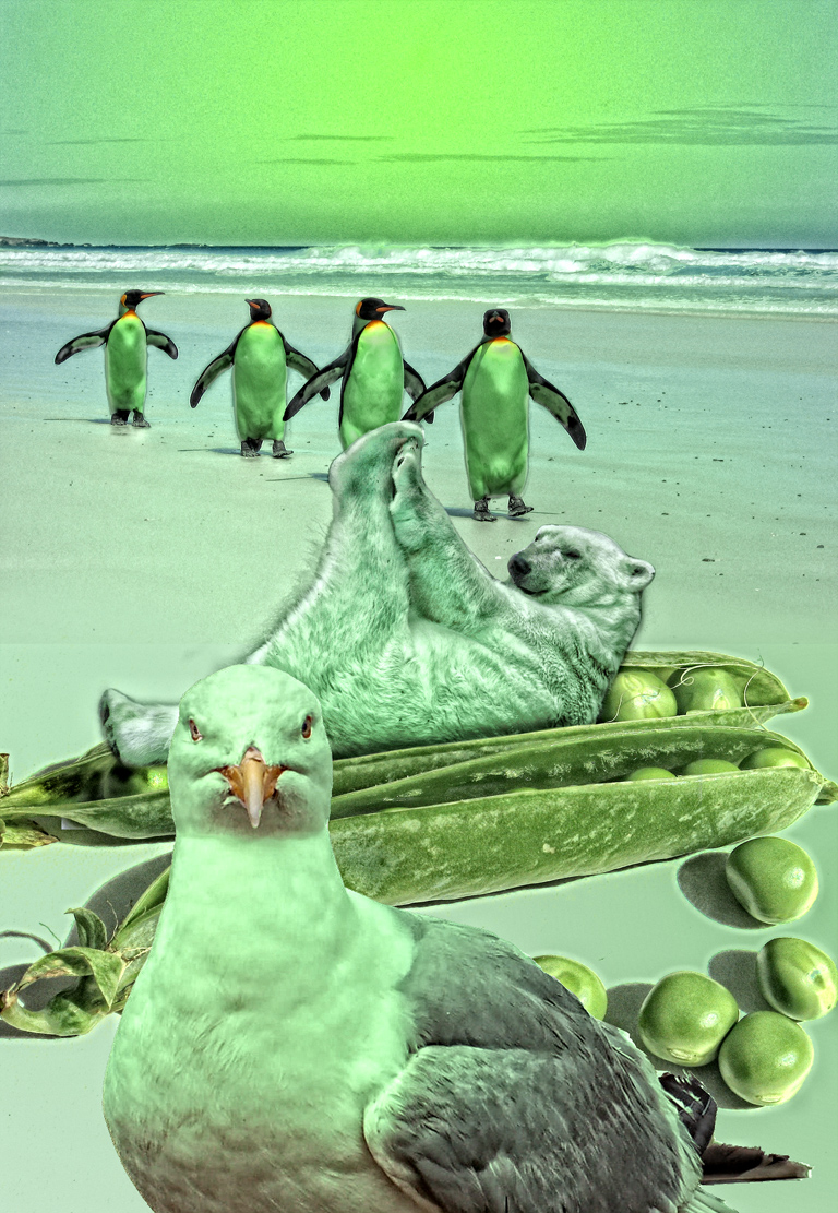 Photoshop Design by kremerb for DesignCrowd (Community Contests) | Design #8957401