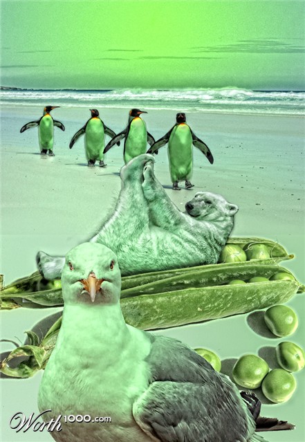 Photoshop Design by kremerb