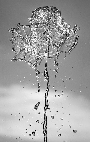 Fotografie von DonLuigi für DesignCrowd (Community Contests) | Design #8956805