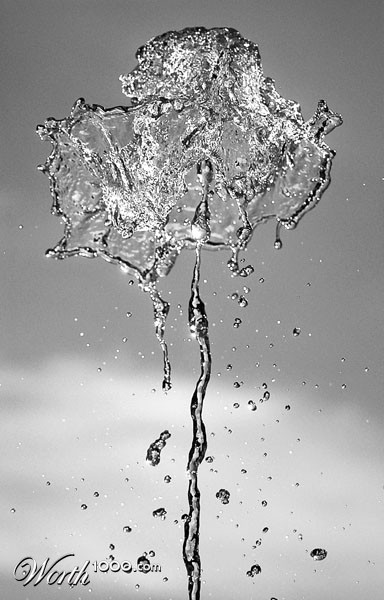 Photography by DonLuigi