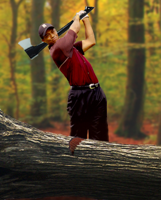 Photoshop Design by margold for DesignCrowd (Community Contests) | Design #8950066
