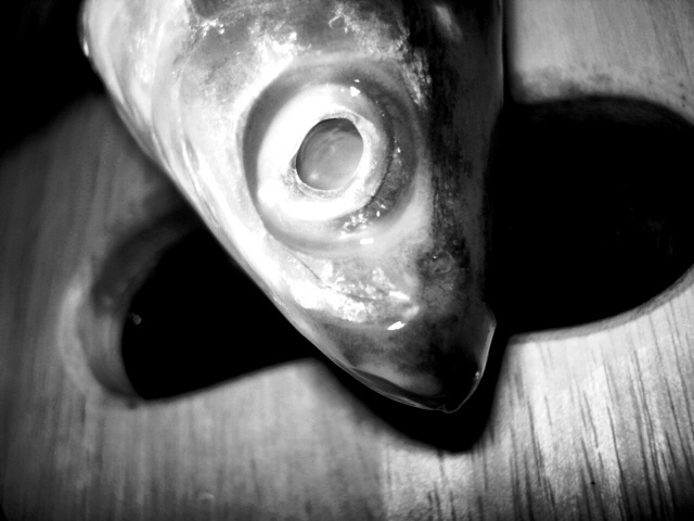 Fotografía por thebrownsofa para DesignCrowd (Community Contests) | Diseño #8956832