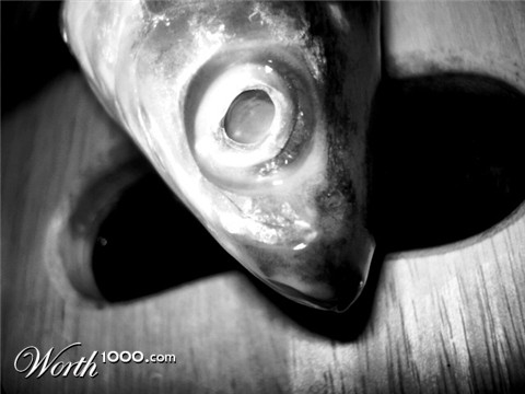 Photography by thebrownsofa