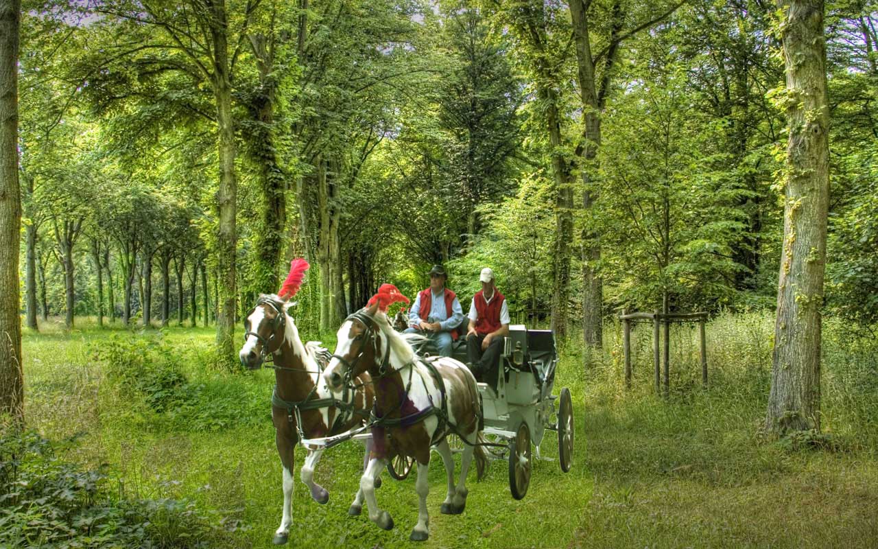 Design Photoshop par djtrickz pour DesignCrowd (Community Contests) | Design #8956475