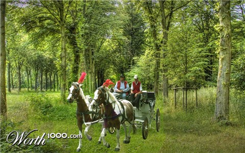 Photoshop Design by djtrickz