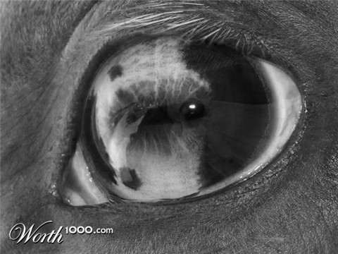 Photography by whoneedstheradio