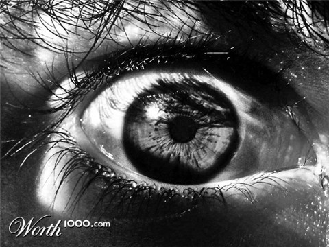 Photography by Zuezzo