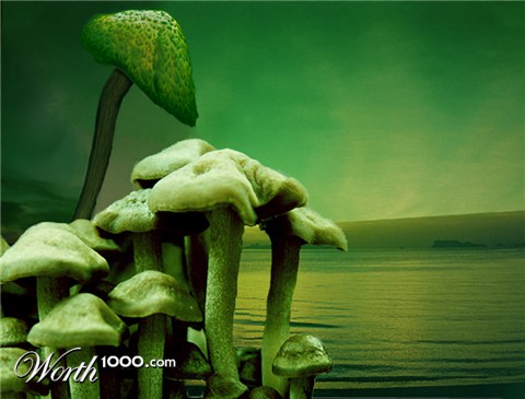 Photoshop Design by xamier