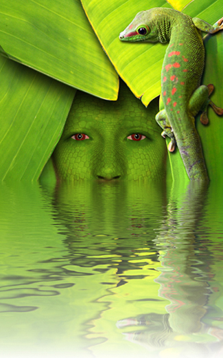 Diseño de Photoshop por nickotypo para DesignCrowd (Community Contests) | Diseño #8957486