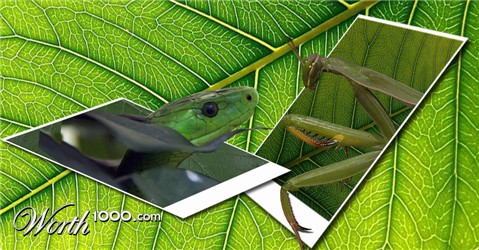 Photoshop Design by Arathorn