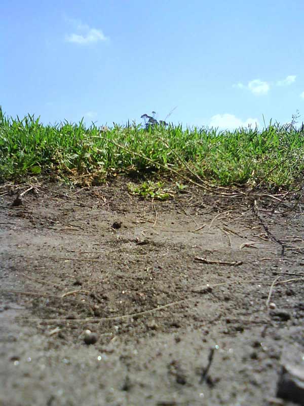 Fotografía por wonet123 para DesignCrowd (Community Contests) | Diseño #8948929