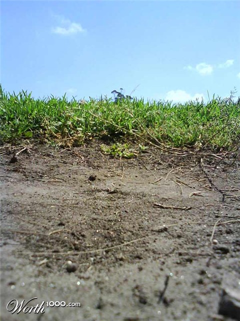 Photography by wonet123