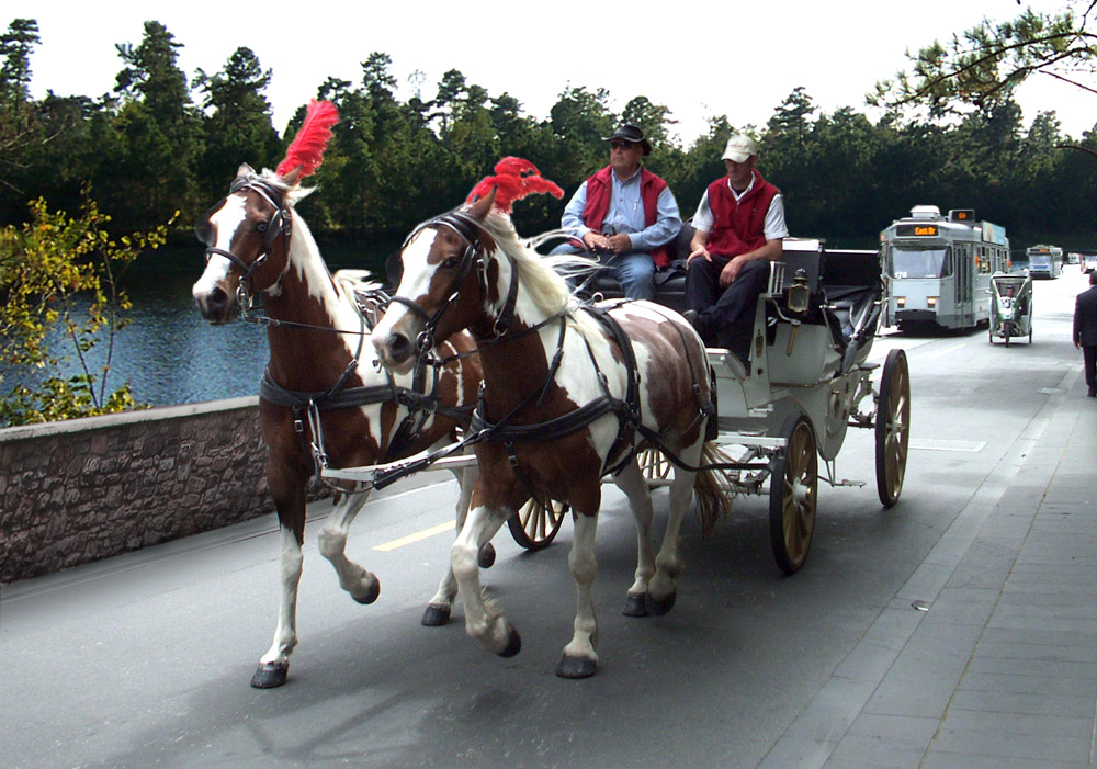 Photoshop Design by castiza for DesignCrowd (Community Contests) | Design #8956512