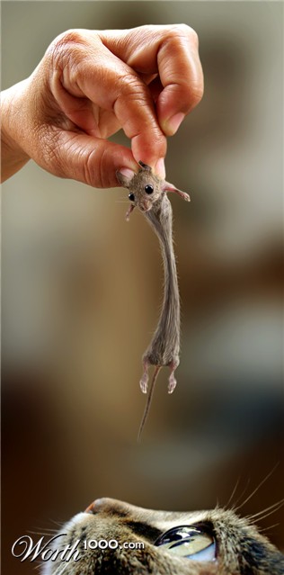 Photoshop Design by ThreeProngs