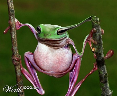 Photoshop Design by catfish08