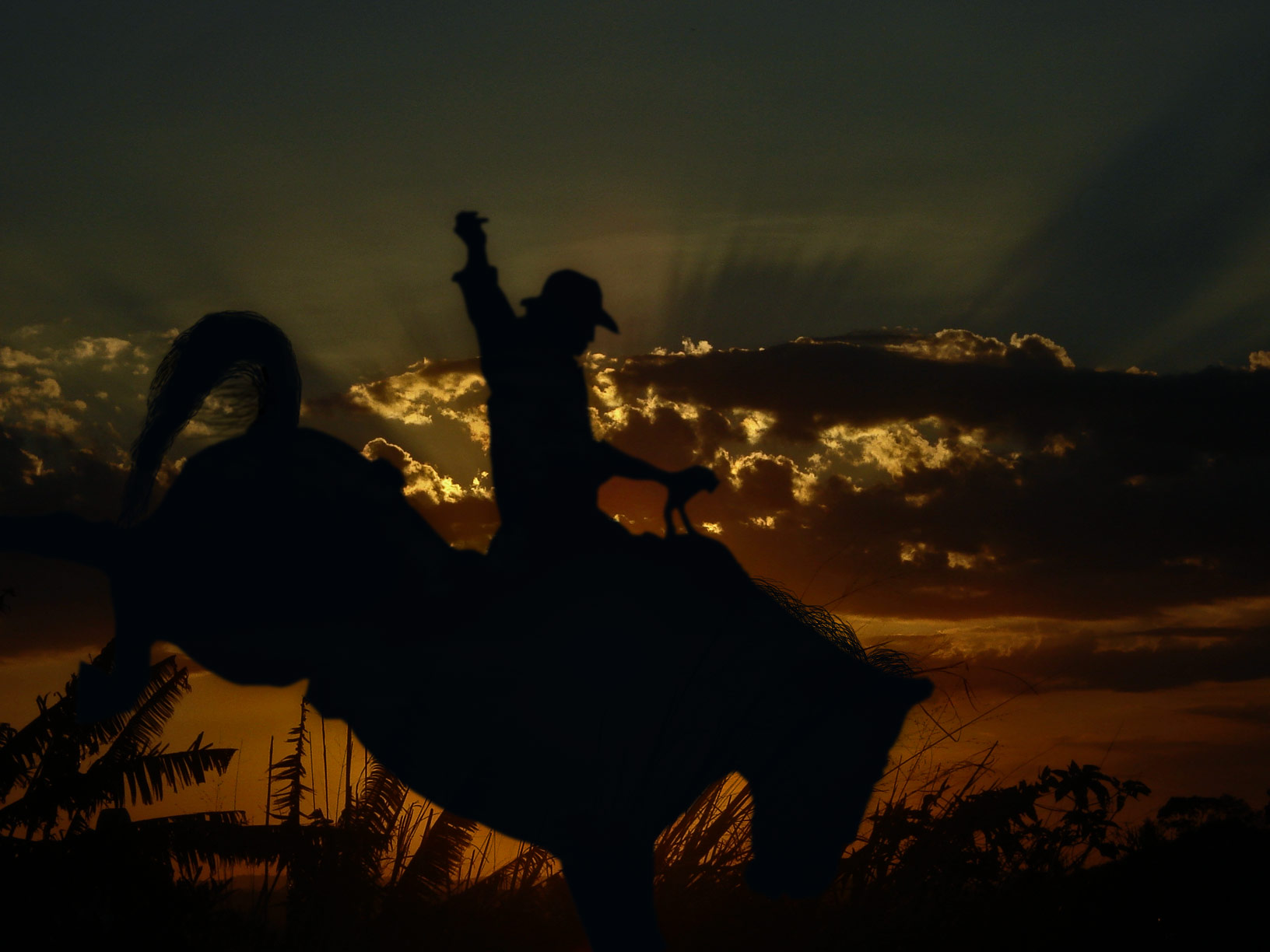 Photoshop Design by margold for DesignCrowd (Community Contests) | Design #8947661