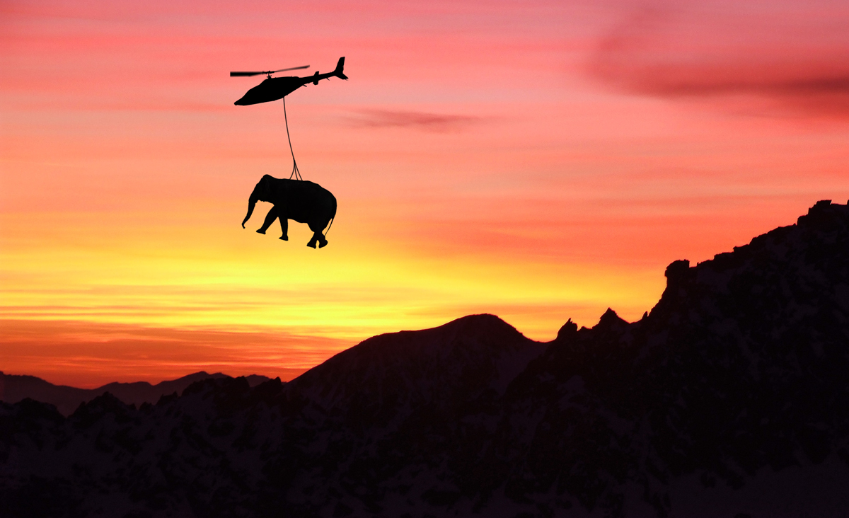 Photoshop Design by donkeyhot for DesignCrowd (Community Contests) | Design #8947709