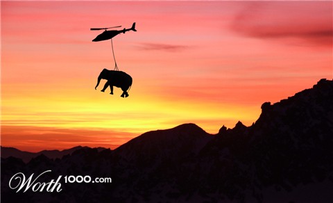 Photoshop Design by donkeyhot