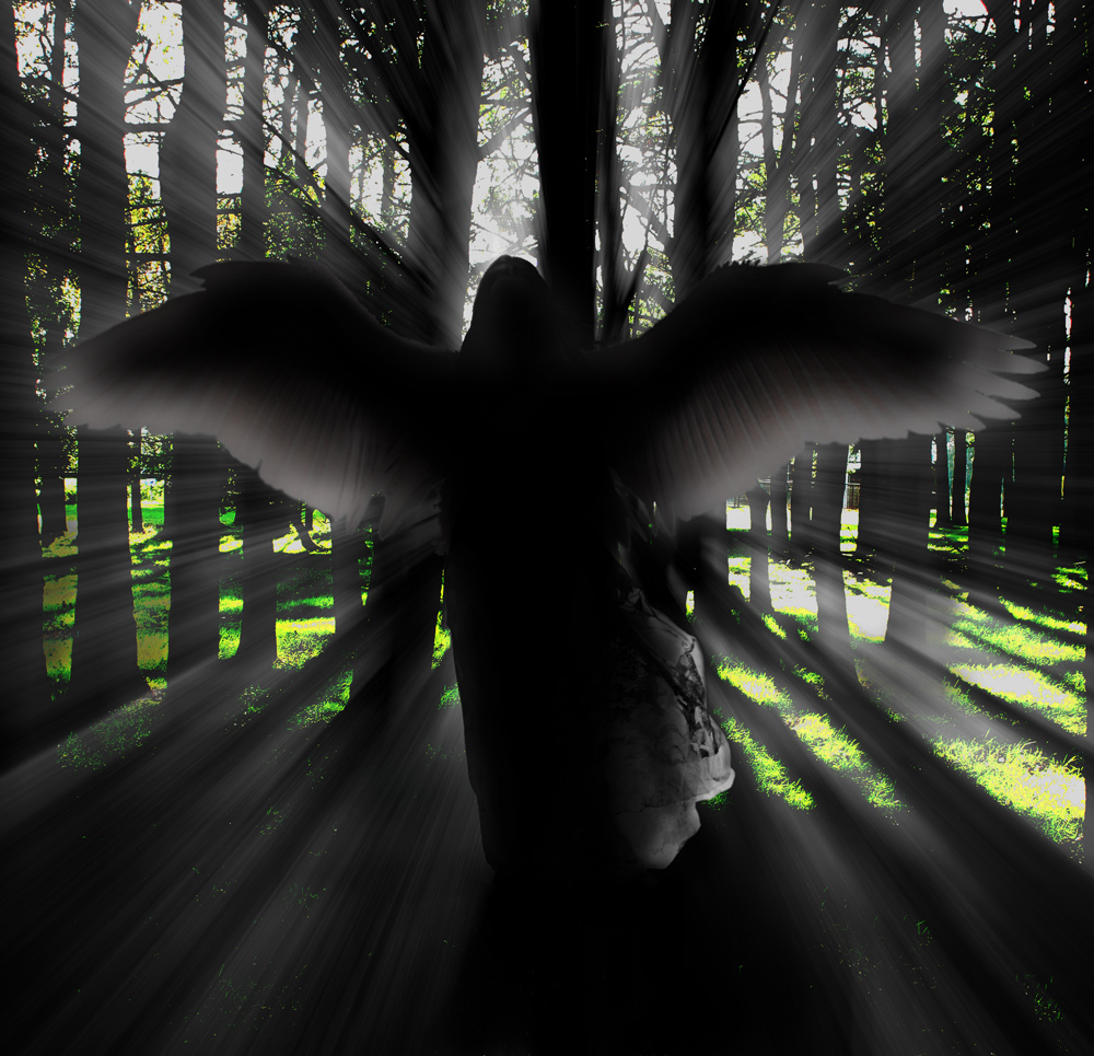 Photoshop Design by CouchPotato for DesignCrowd (Community Contests) | Design #8947735