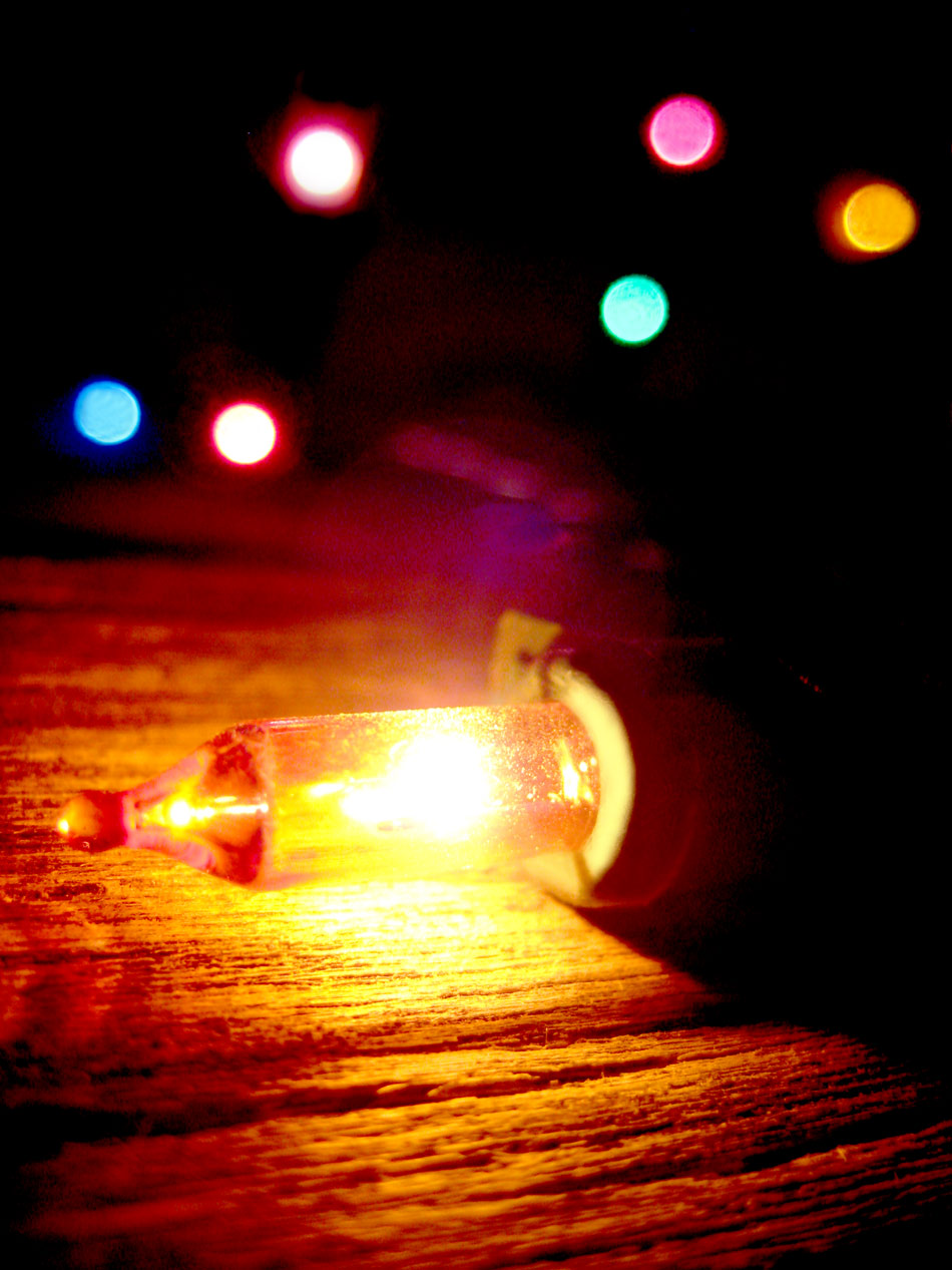 Photography by cherryontop98 for DesignCrowd (Community Contests) | Design #8957134