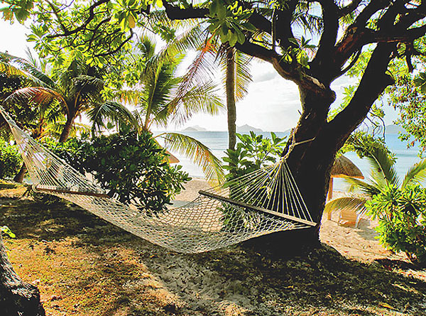 Photography by VICOZ1 for DesignCrowd (Community Contests) | Design #8953436
