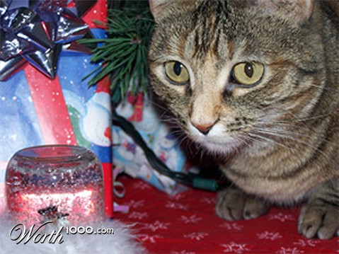 Photography by GenaAllen