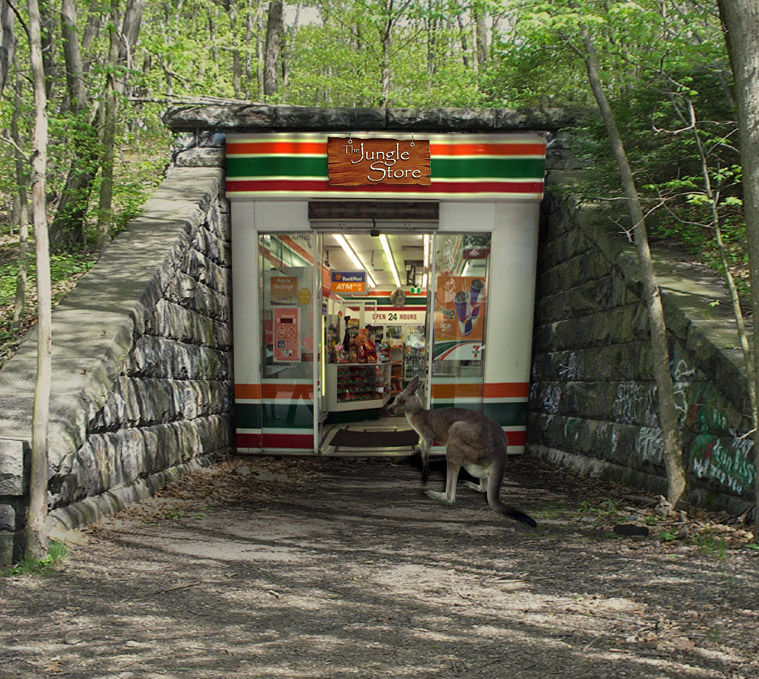 Photoshop Design by sssdesigner for DesignCrowd (Community Contests) | Design #8957529