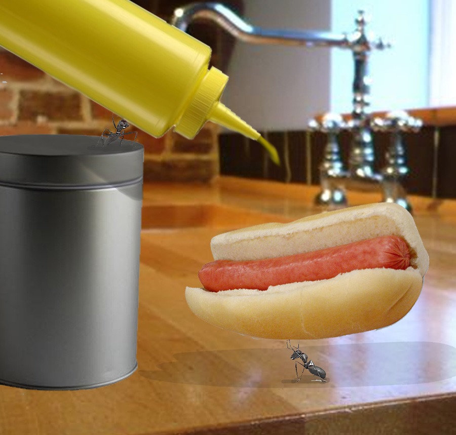 Design Photoshop par kate7819 pour DesignCrowd (Community Contests) | Design #8949478