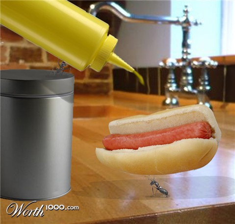 Photoshop Design by kate7819