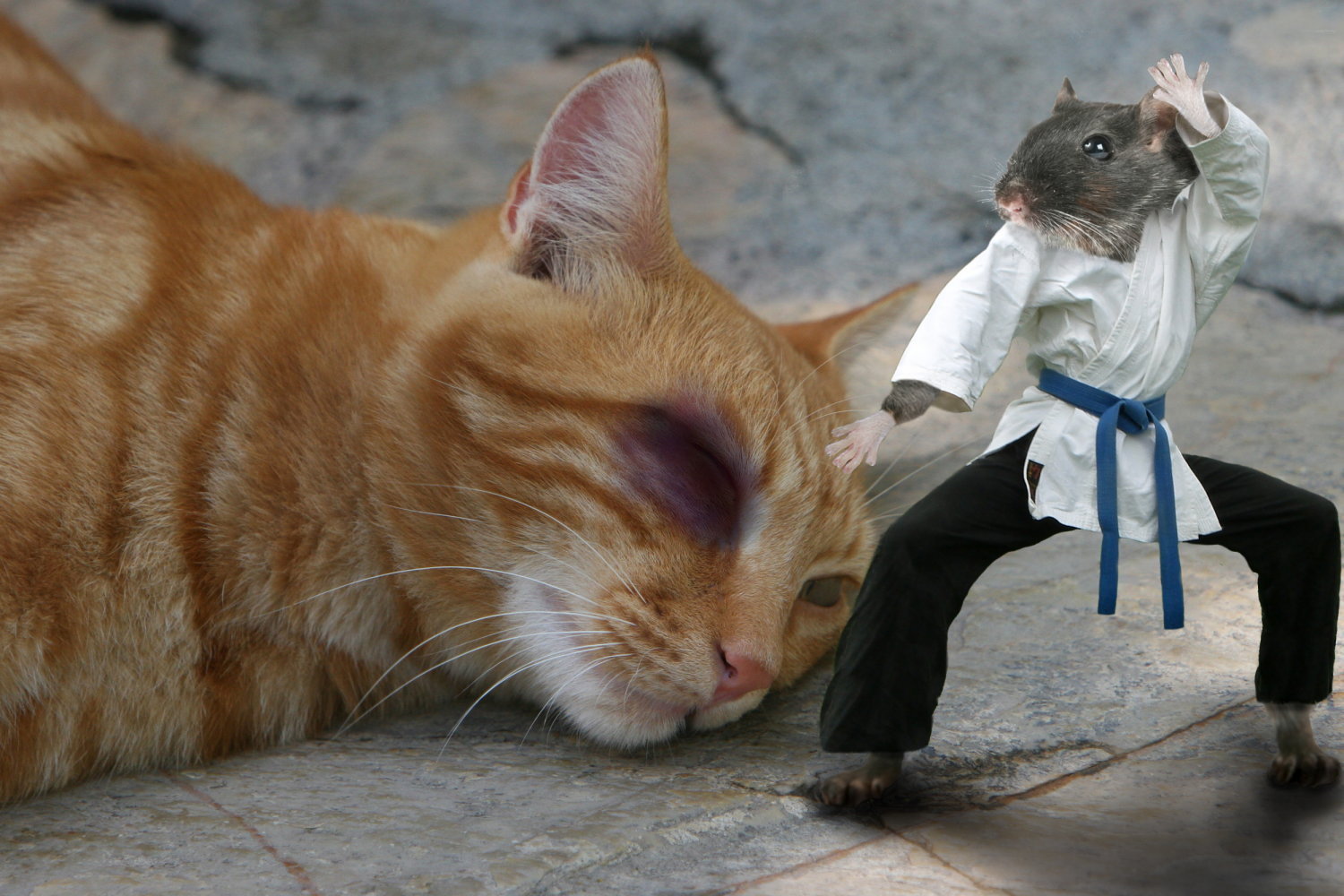 Diseño de Photoshop por cmumiddle para DesignCrowd (Community Contests) | Diseño #8949488