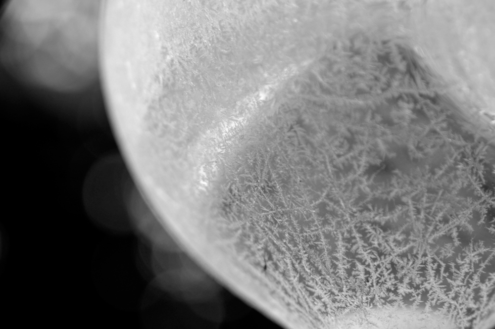 Photography by Roel1969 for DesignCrowd (Community Contests) | Design #8956982