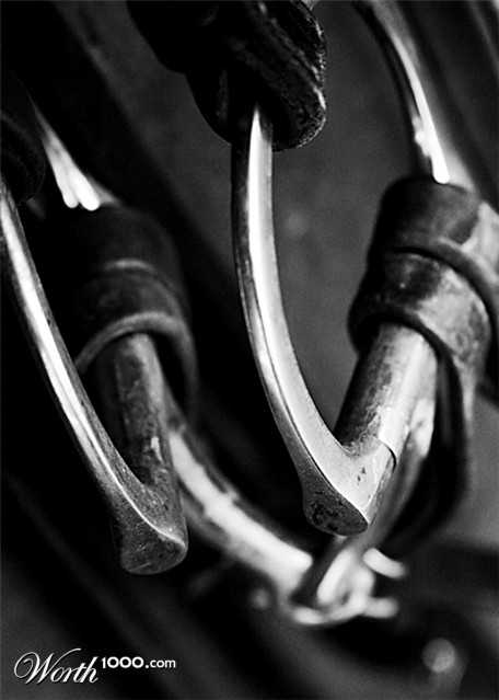 Photography by lilhorseebabee