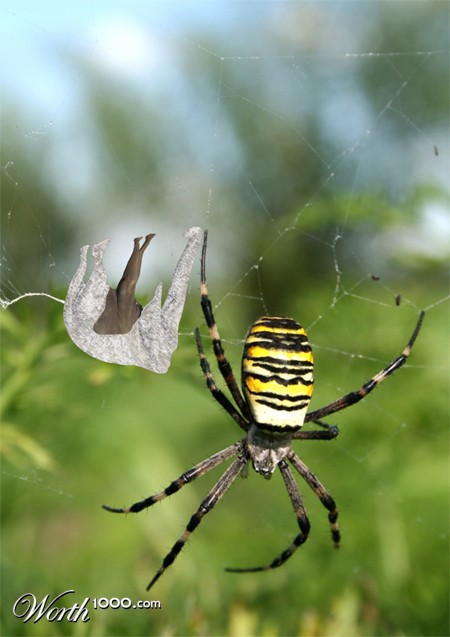 Photoshop Design by mimorag