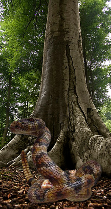 Photoshop Design by Krullebol for DesignCrowd (Community Contests) | Design #8949502