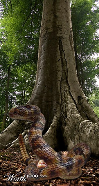 Photoshop Design by Krullebol