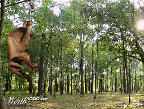 Photoshop Design by drlsubaru