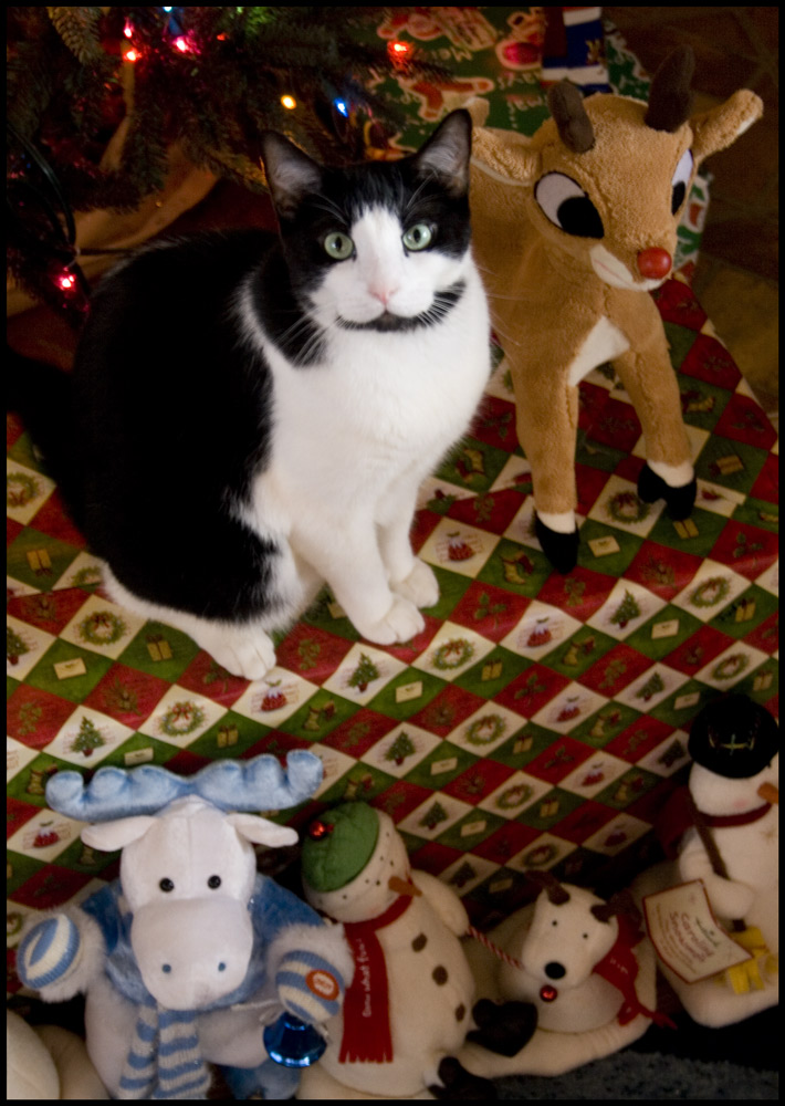 Photography by Rhiannonsmommy for DesignCrowd (Community Contests) | Design #8957100