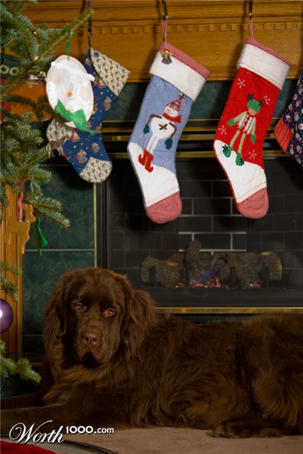 Photography by Snakeyesman