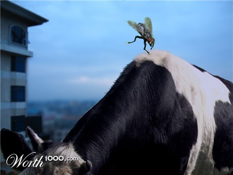 Photoshop Design by timboi