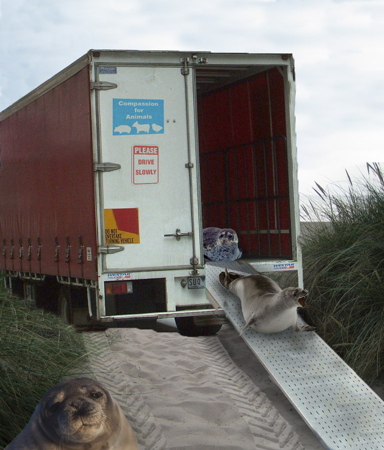 Photoshop Design by uksweetheart for DesignCrowd (Community Contests) | Design #8949464