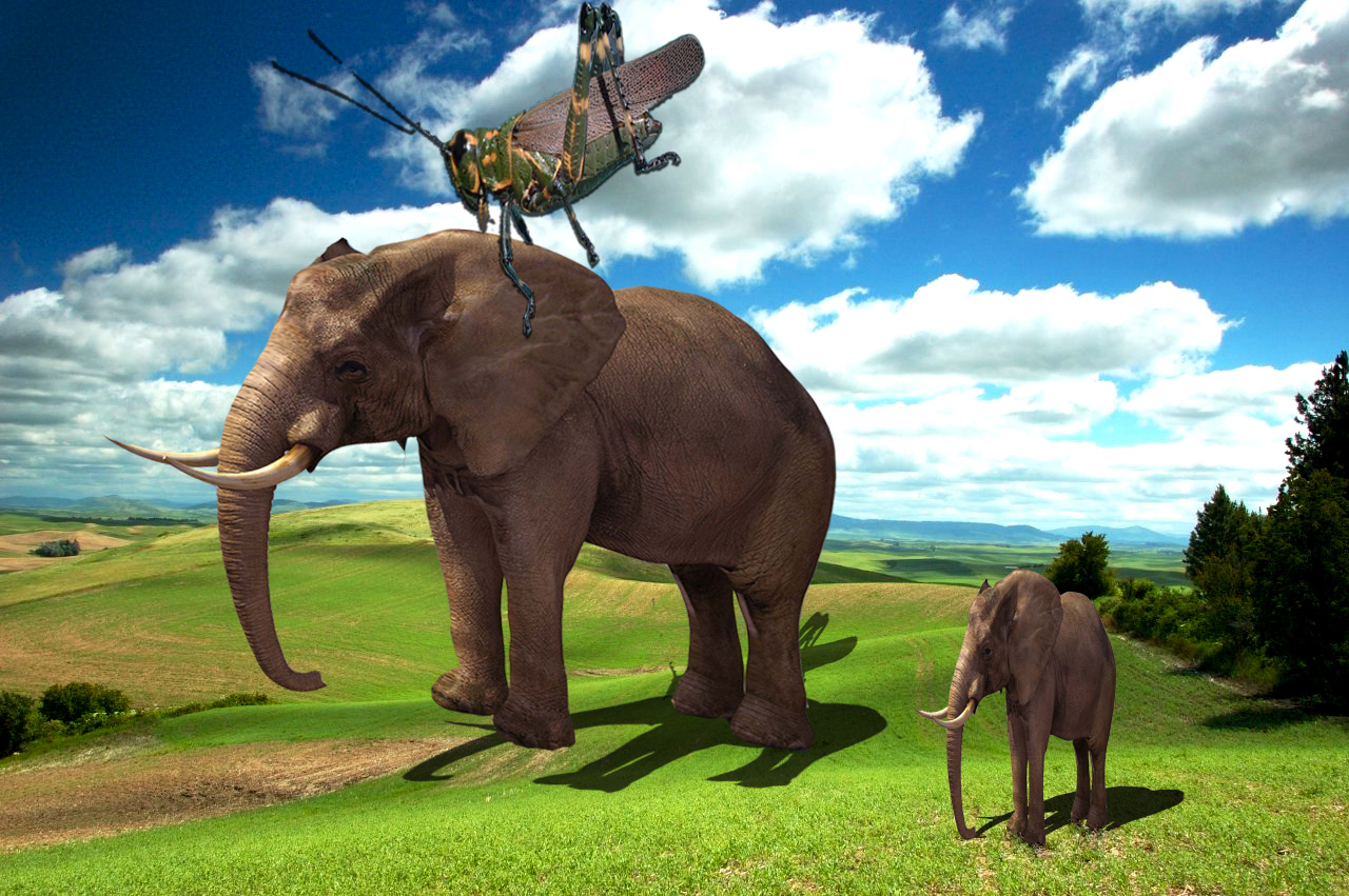 Photoshop Design by caibiense for DesignCrowd (Community Contests) | Design #8949530