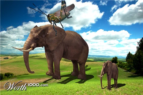 Photoshop Design by caibiense