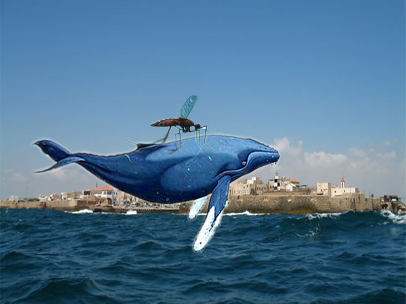 Diseño de Photoshop por Lovehurts para DesignCrowd (Community Contests) | Diseño #8949540