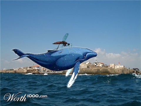 Photoshop Design by Lovehurts