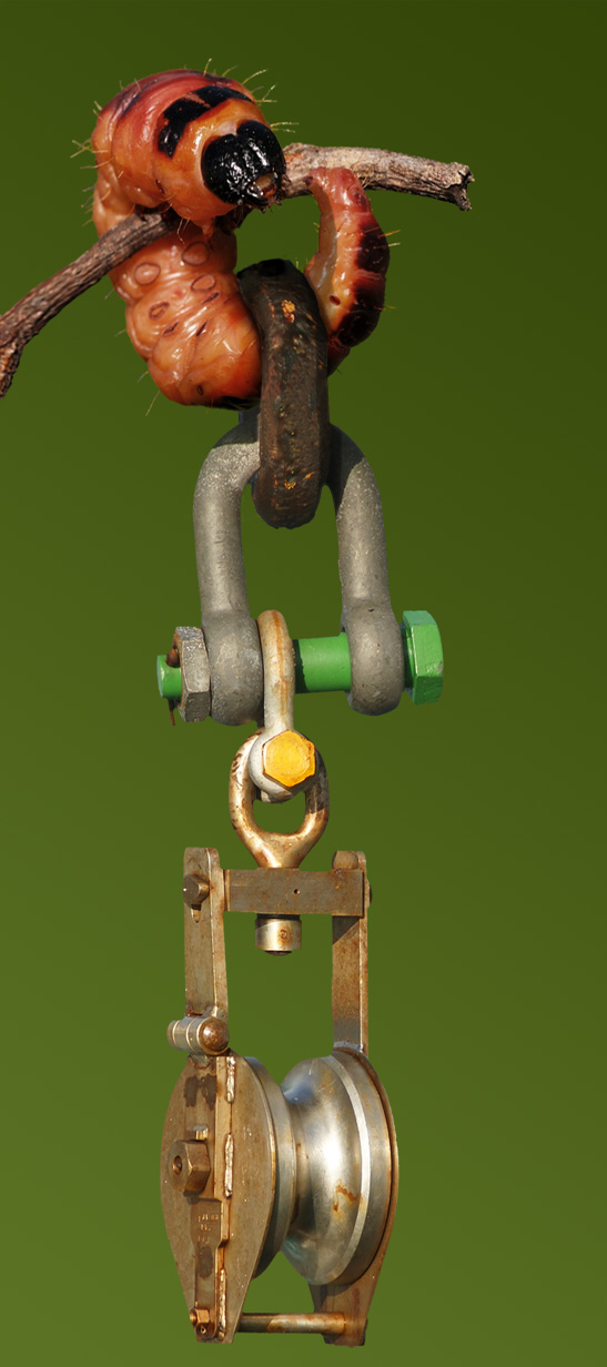 Photoshop Design by castiza for DesignCrowd (Community Contests) | Design #8949636