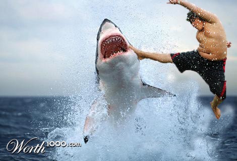 Photoshop Design by wbauman