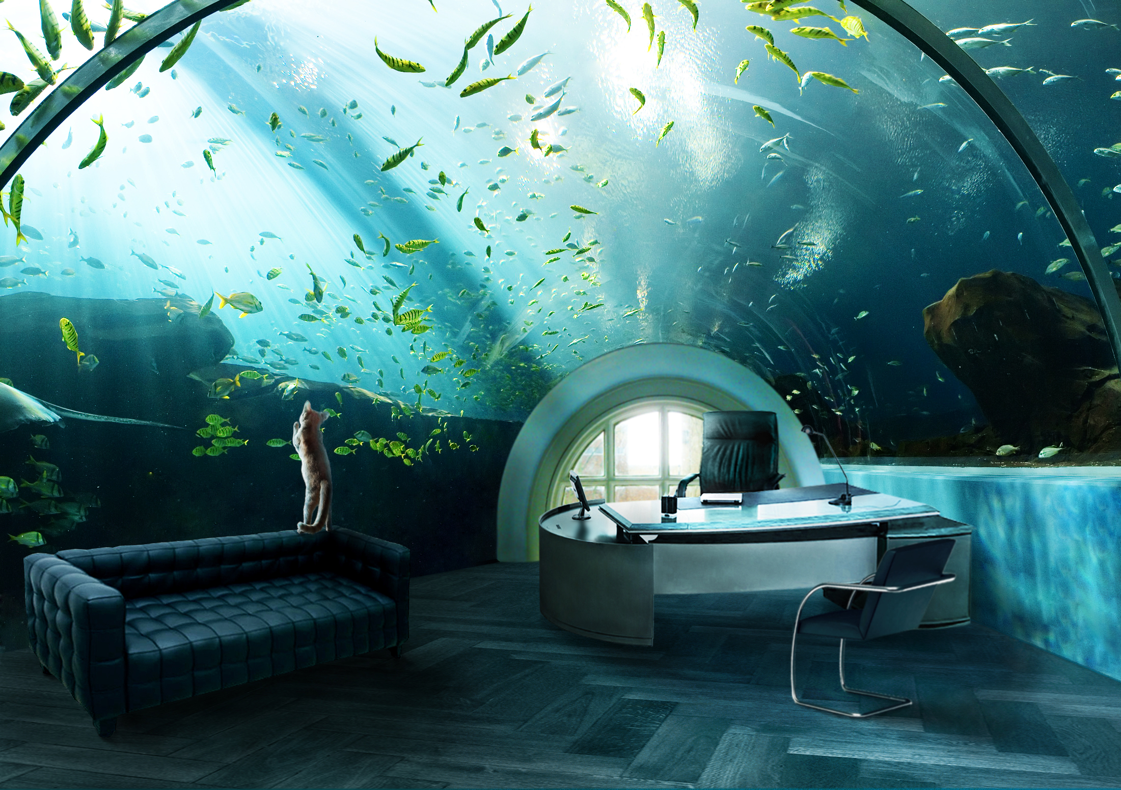 Photoshop-Design von Maxbee für DesignCrowd (Community Contests) | Design #8955338