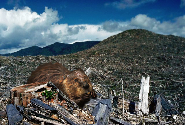 Photoshop Design by Dart0000th for DesignCrowd (Community Contests) | Design #8949641