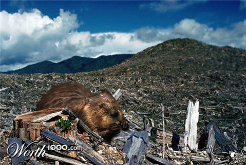 Photoshop Design by Dart0000th